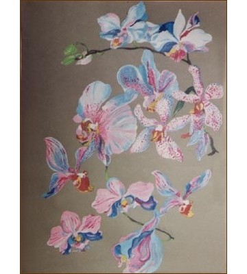 Orchidee
